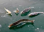 Отдых и рыбалка на Байкале
