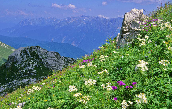 Пейзажи Абхазии
